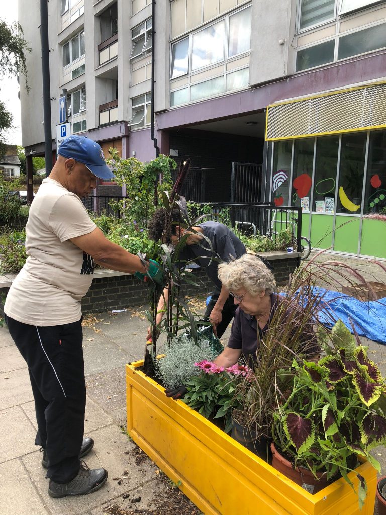 Volunteers gardening